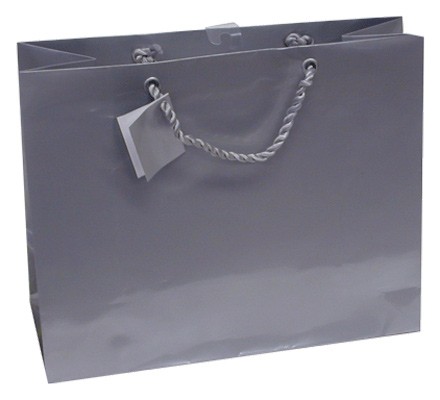 Horizontal Silver Bag