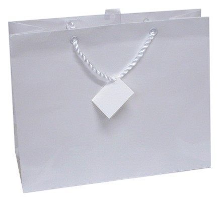 Horizontal White Bag