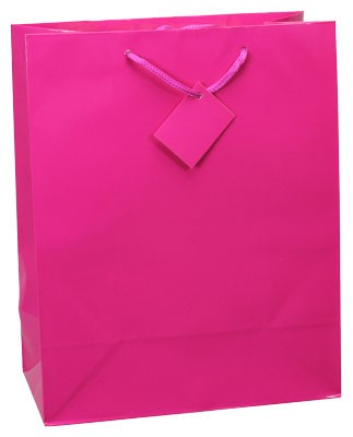 Hot Pink Gift Bag