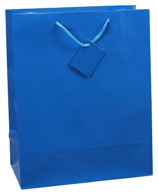Sky Blue Gift Bag