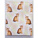 Kittens Wrapping Paper